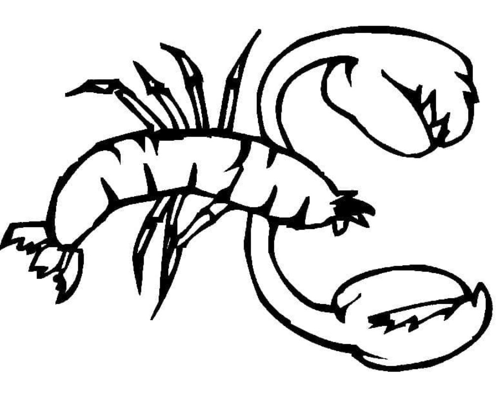 Desenhos de Lagosta básico em crianças para colorir