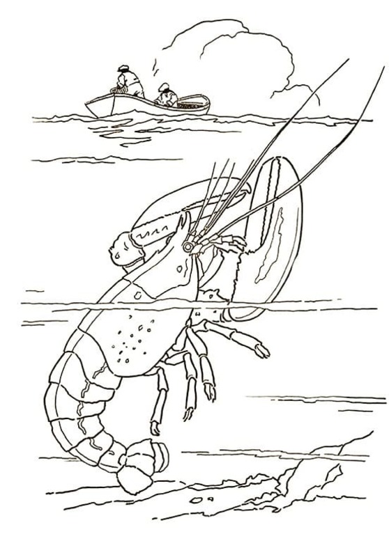 Desenhos de Lagosta básico para colorir