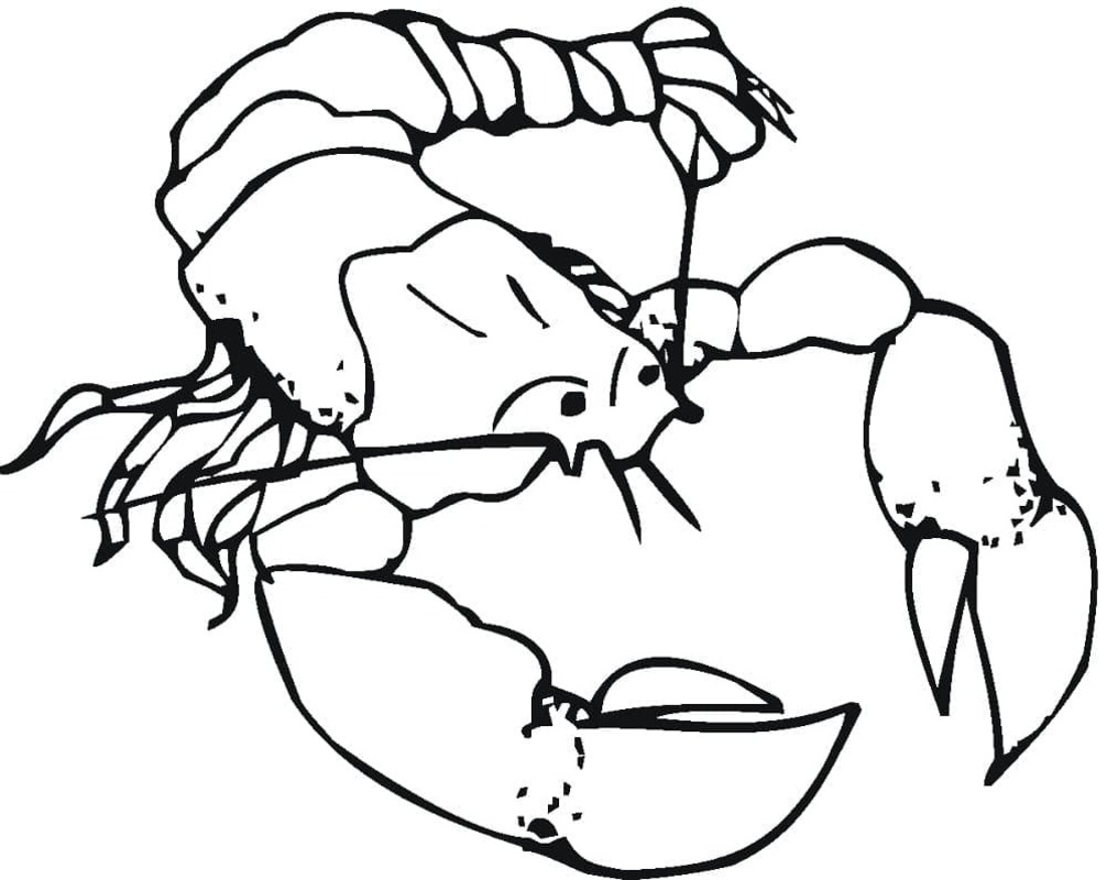Desenhos de Lagosta fácil em crianças para colorir