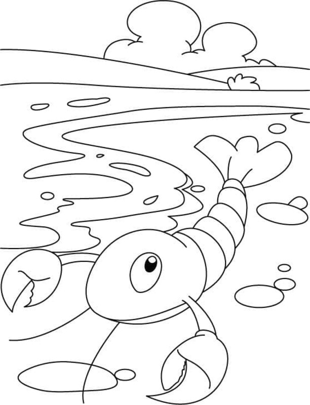 Desenhos de Lagosta grátis para crianças para colorir