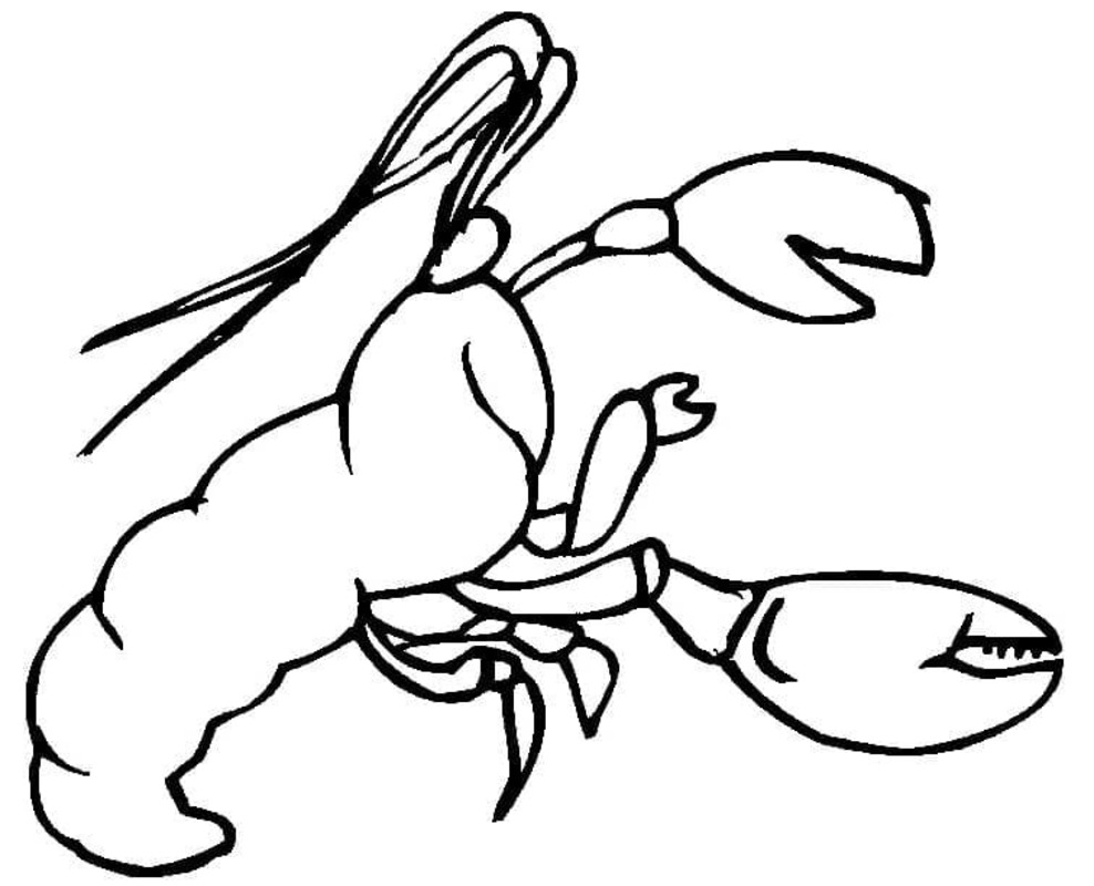 Desenhos de Lagosta imprimível para colorir