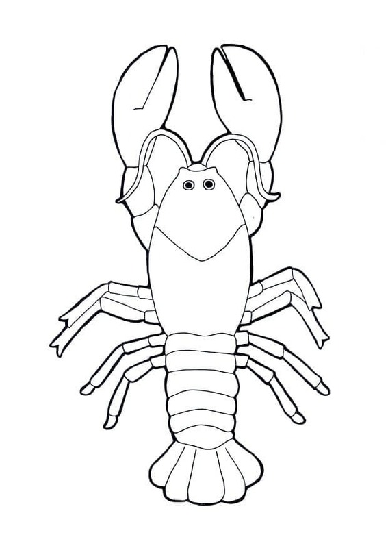 Desenhos de Lagosta muito simples para colorir