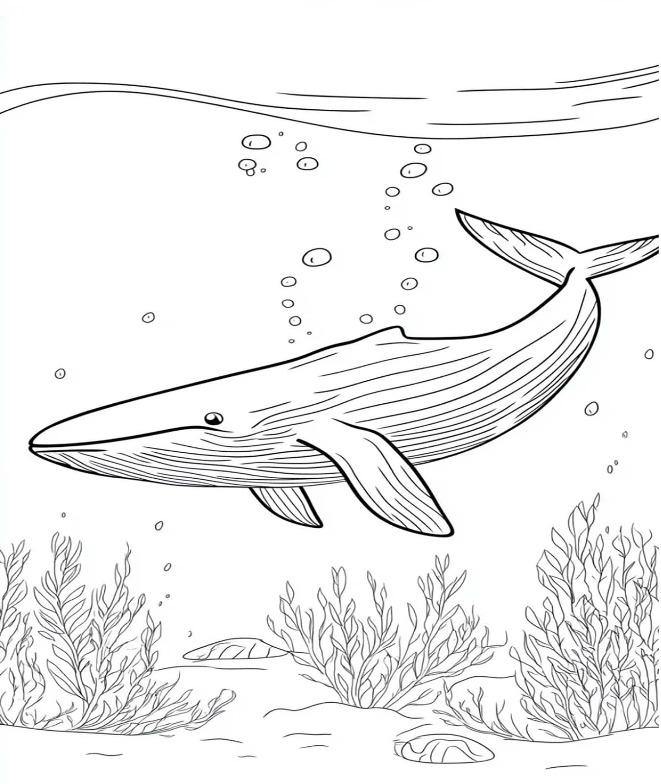 Peixe 6 para colorir