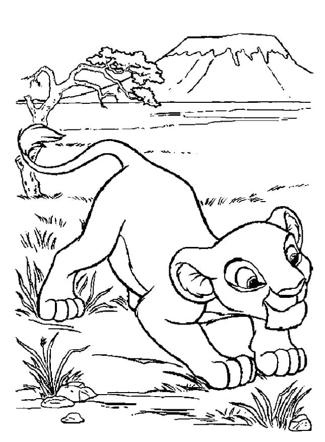 Desenhos de Simba básico para colorir
