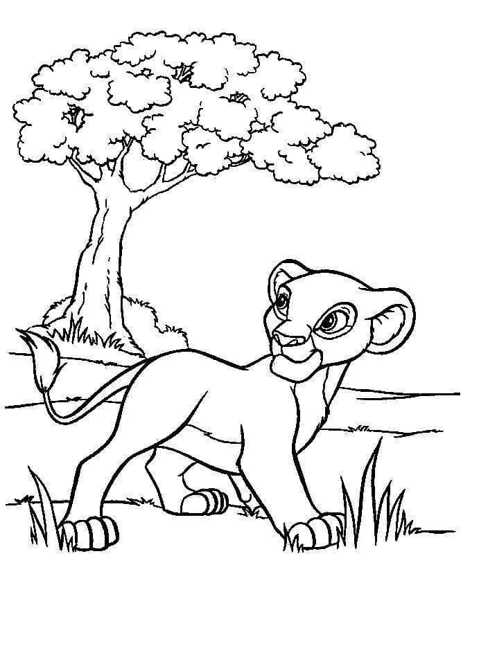Desenhos de Simba em crianças para colorir