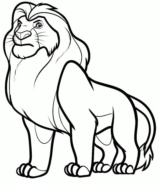 Simba Para Colorir