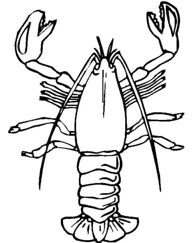 Desenhos de Desenhe Lagosta simples para colorir