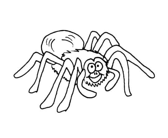 Desenhos de Aranha grátis para crianças para colorir