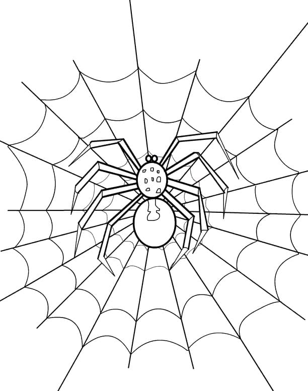 Desenhos de Aranha para crianças para colorir