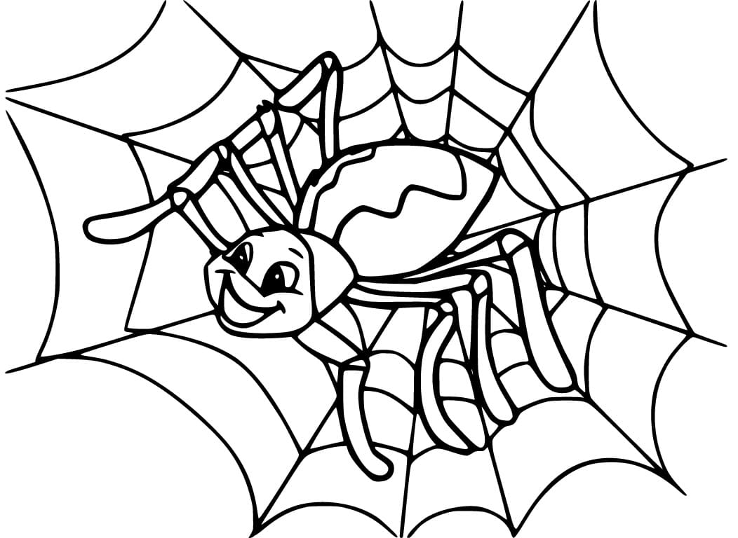 Desenhos de Desenhe Aranha 1 para colorir