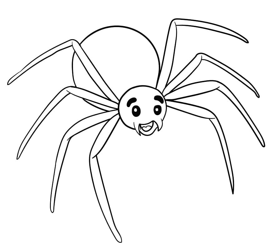 Desenhos de Desenhe Aranha 3 para colorir