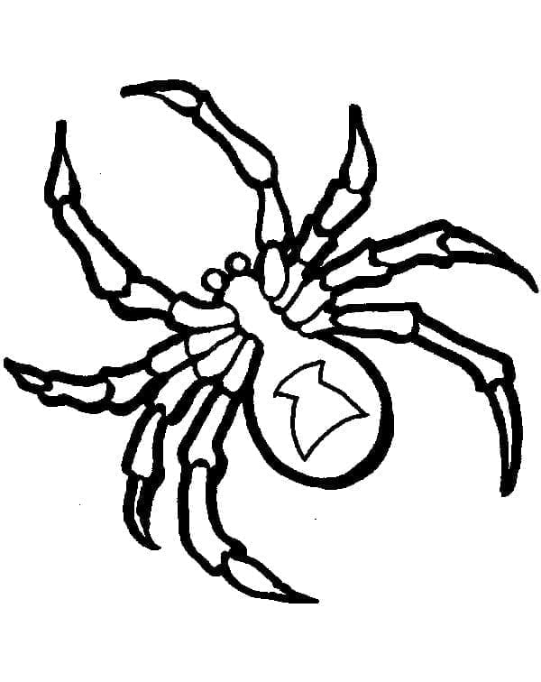 Desenhos de Desenhe Aranha imprimível para crianças para colorir