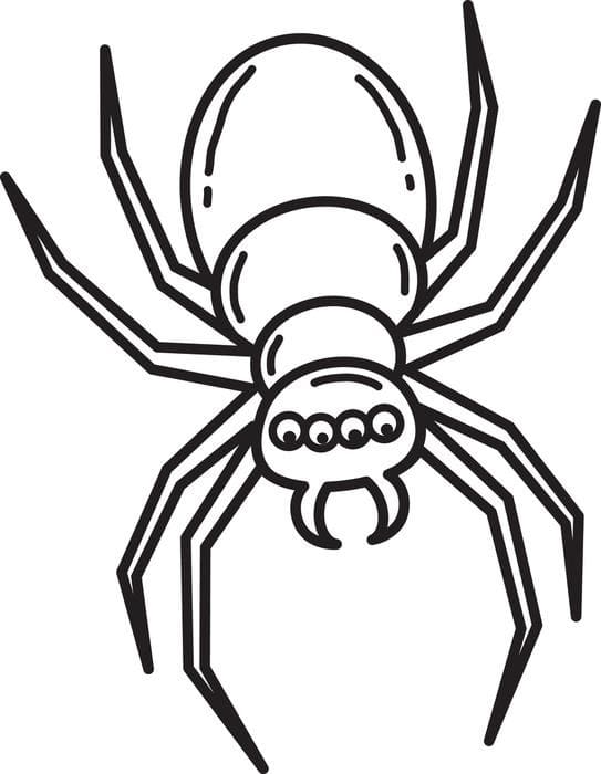 Desenhos de Desenhe Aranha imprimível para colorir