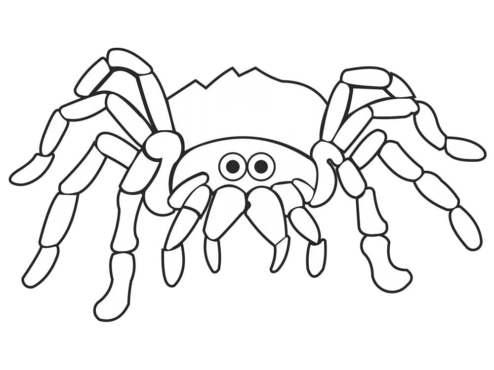 Desenhos de Desenhe Aranha para crianças para colorir