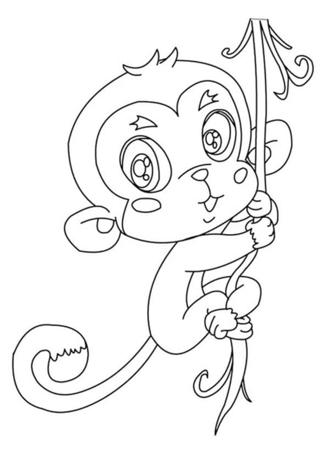 Desenhos de Desenhe Macaco 5 para colorir
