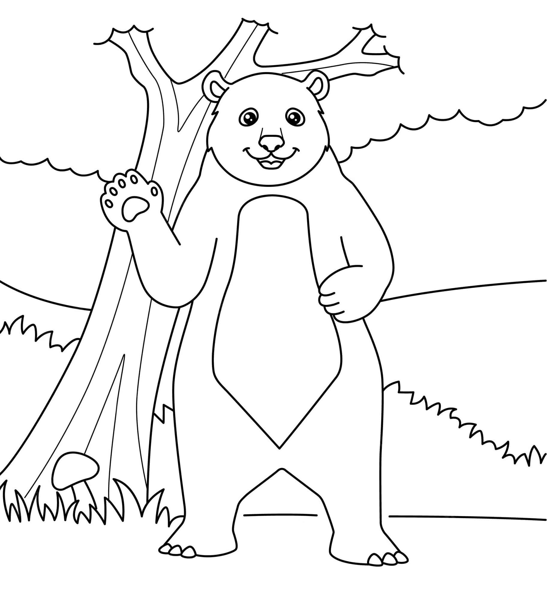 Desenhe Urso 2 para colorir