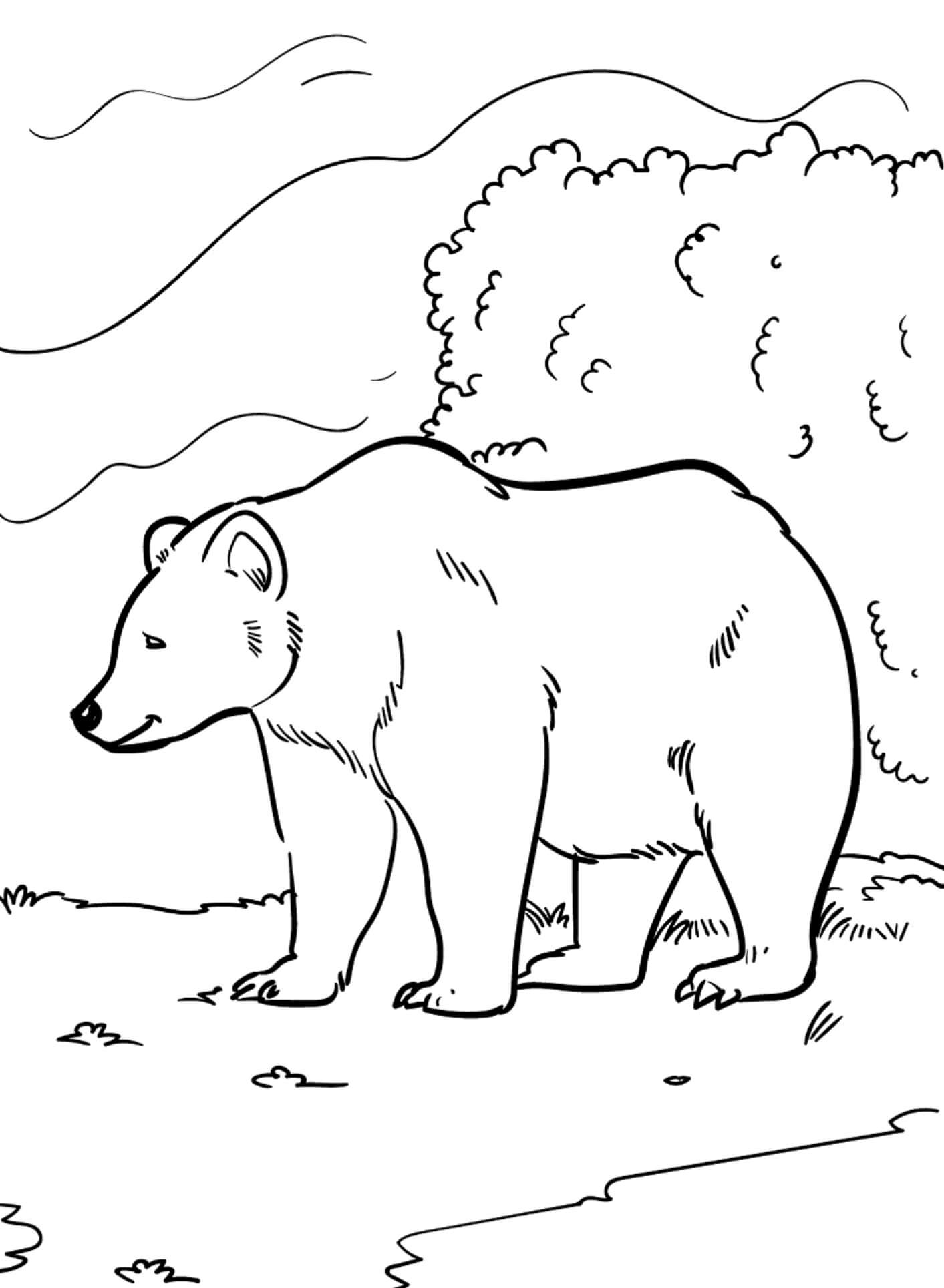 Desenhe Urso impressão gratuita para colorir