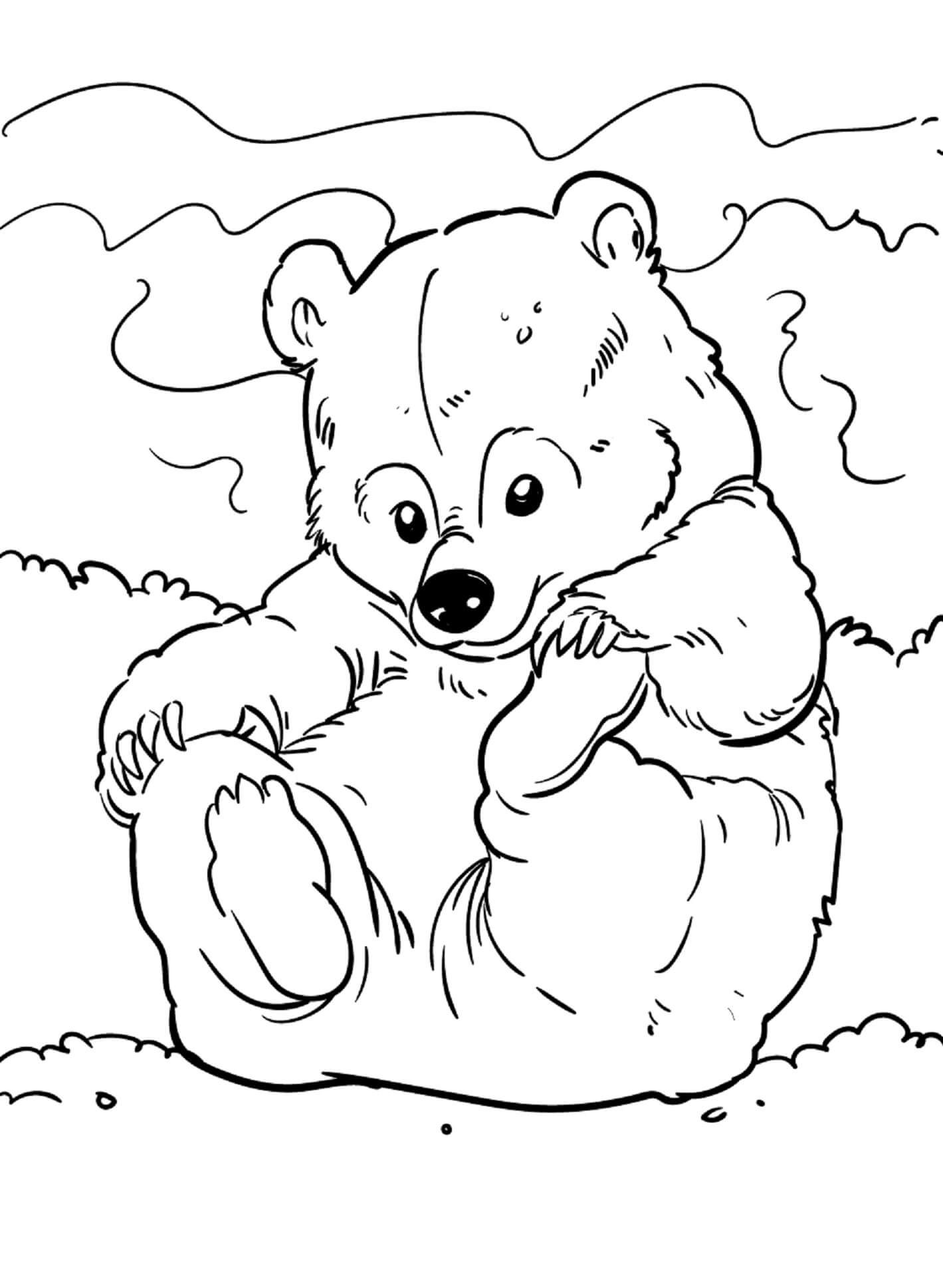 Desenhe Urso pequeno para colorir