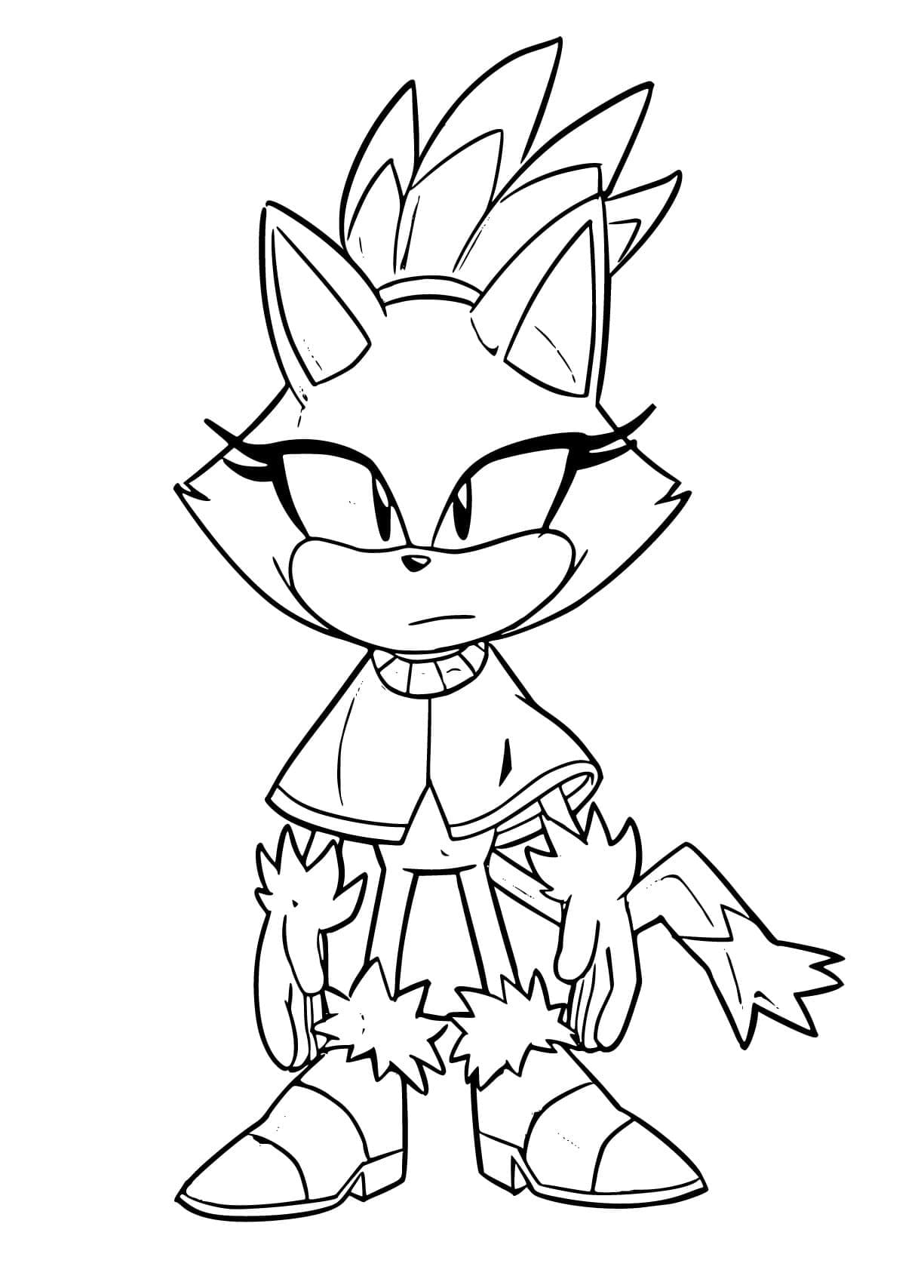 Desenhos de Blaze the Cat Para Colorir