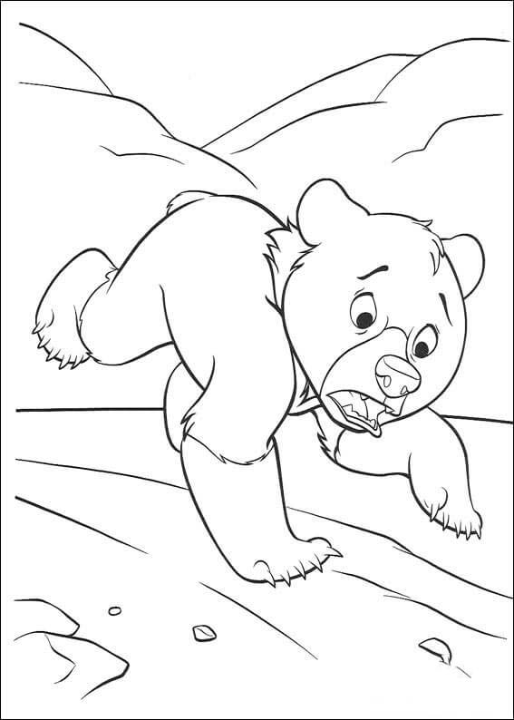 Irmão Urso – Página 11 para colorir