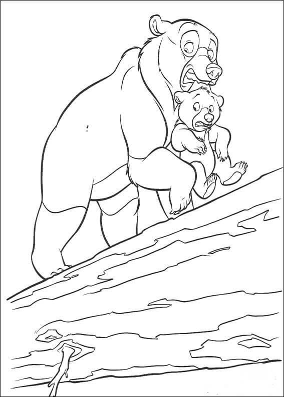 Irmão Urso – Página 13 para colorir