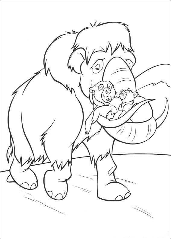 Irmão Urso e Mamute para colorir