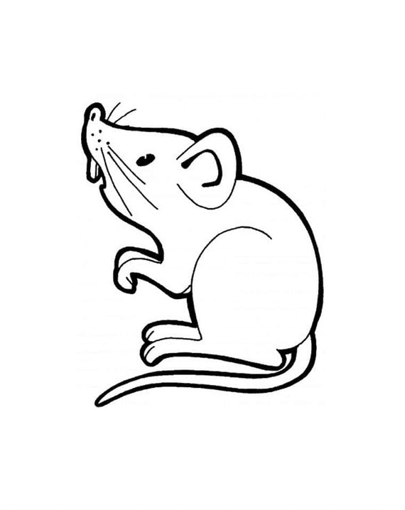 Desenhos de Rato 4 para colorir