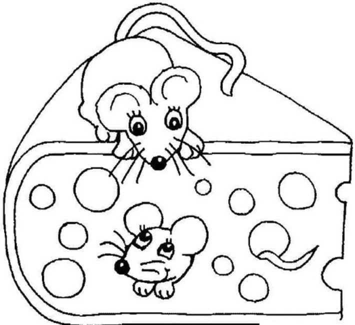 Desenhos de Rato 6 para colorir