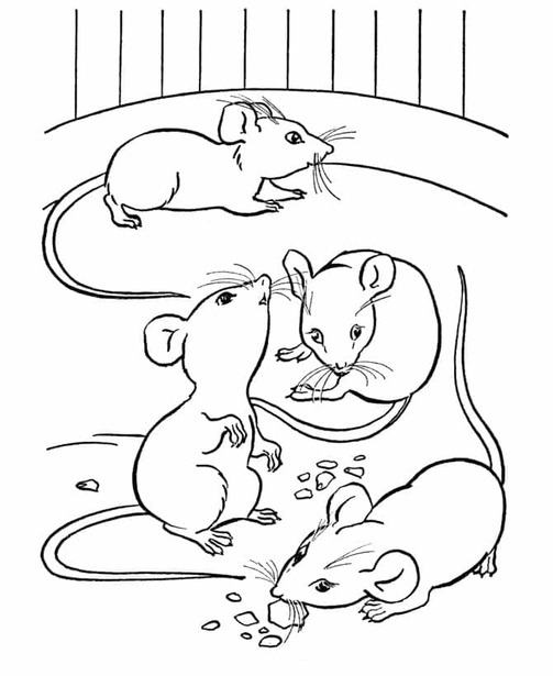 Desenhos de Rato impressão gratuita para colorir