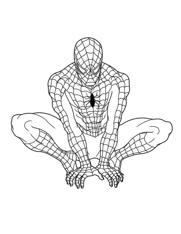 Spiderman free Graphics