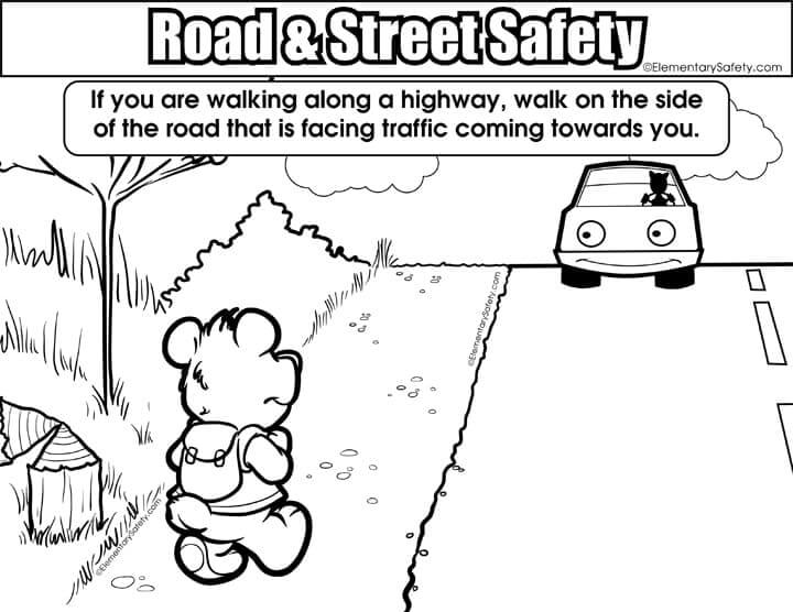 Bear Walking in Road and Street Safety