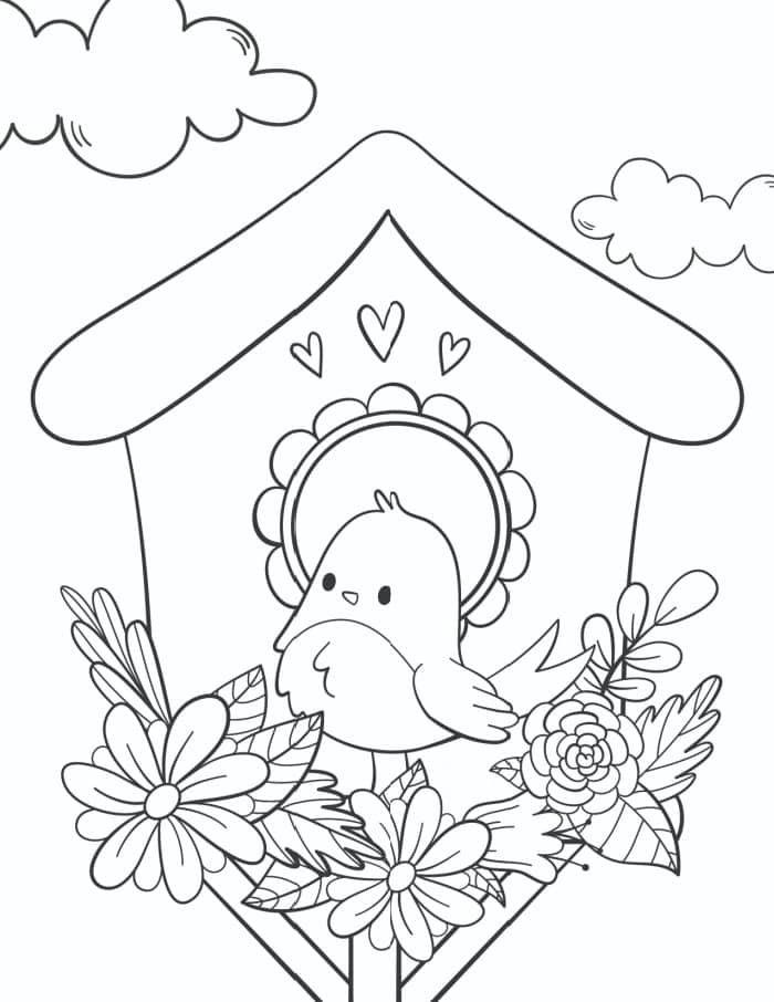 Cute Birds, Nests and Flowers