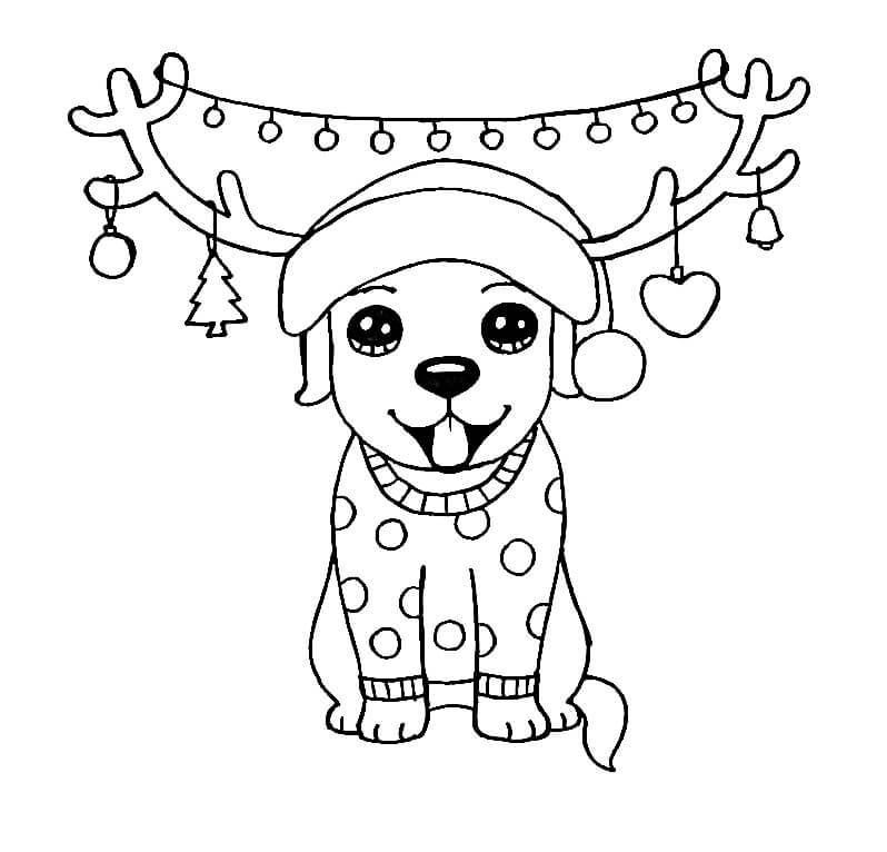 Cute Dog in Christmas