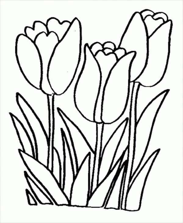 Drawing Three Flowers