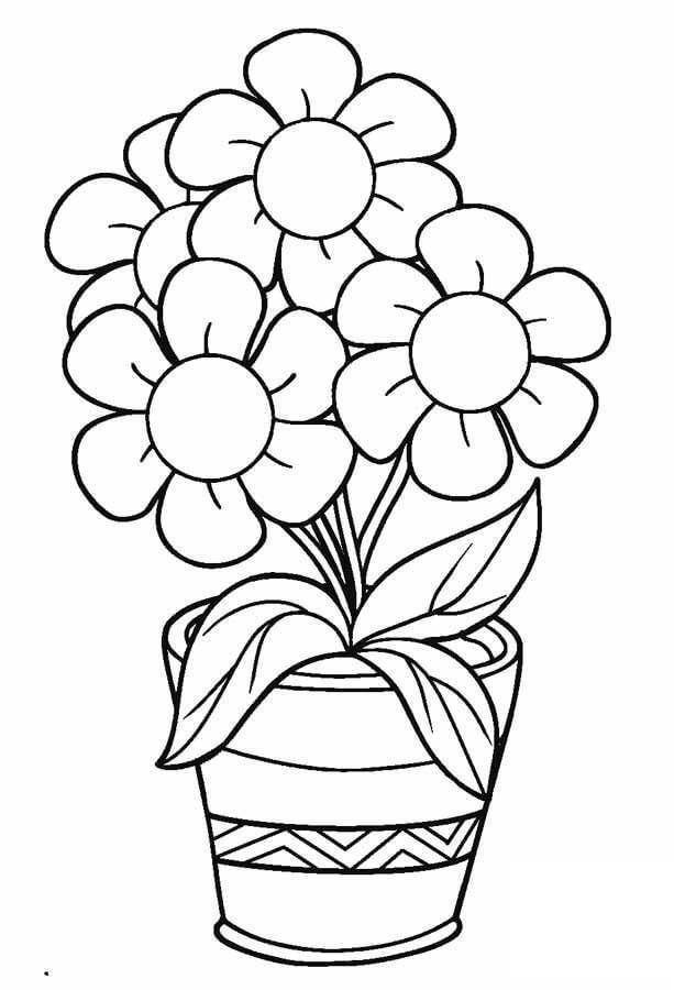 Flowers of Vase