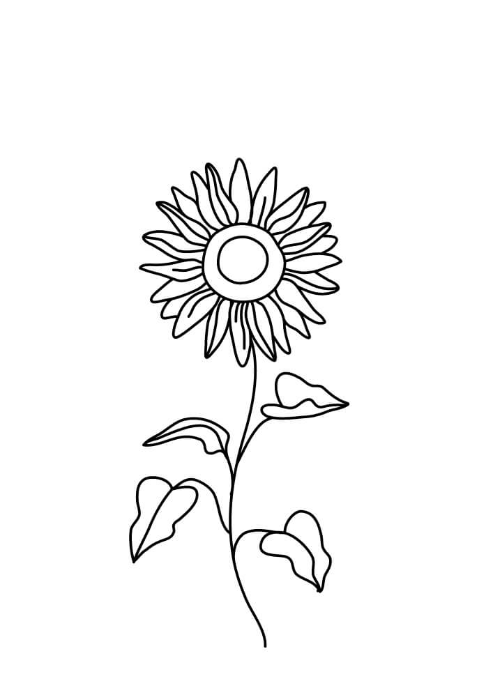 Sunflower coloring pages