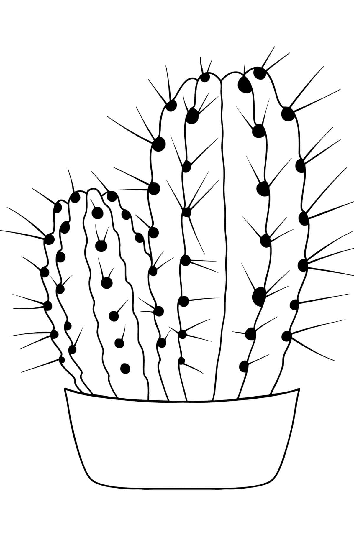 Simple Potted Cactus