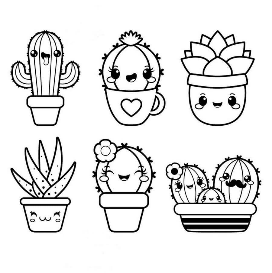 Six Cute Potted Cactus