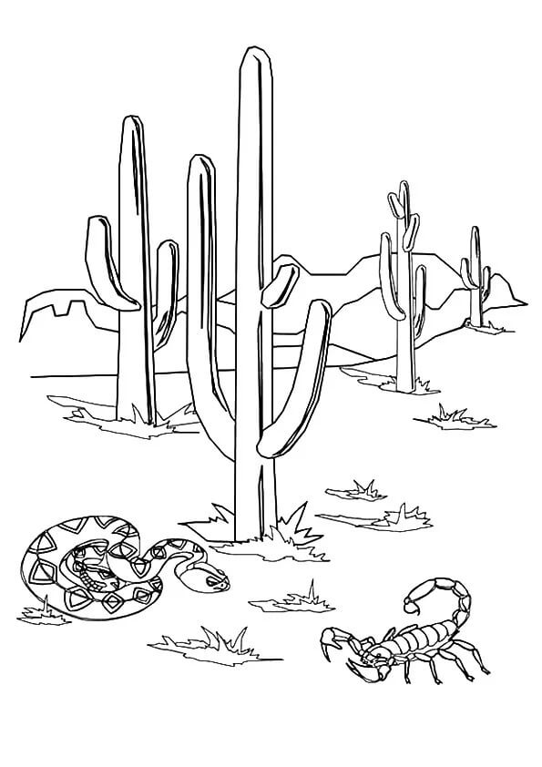 Snake and Scorpion with Cactus