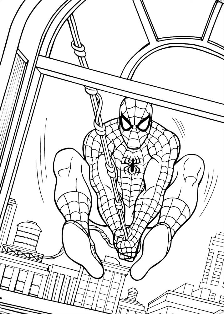 Spiderman Swinging OutSide the Window