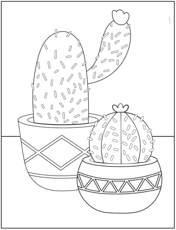 Two Potted Cactus