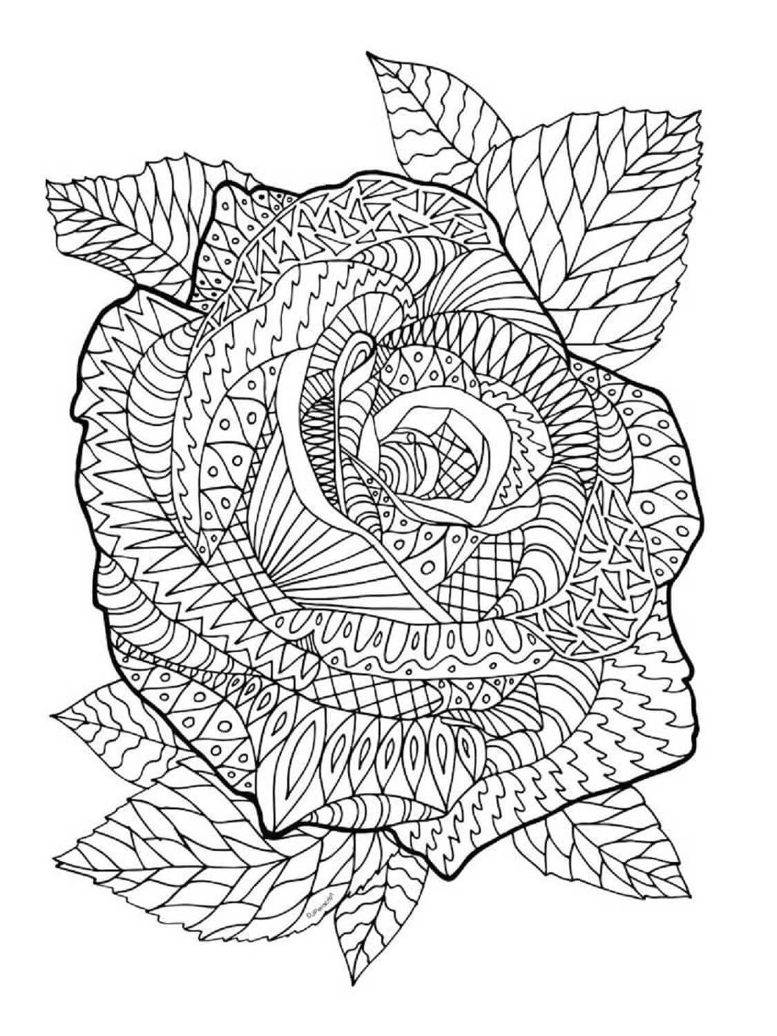 Zentangle Rose