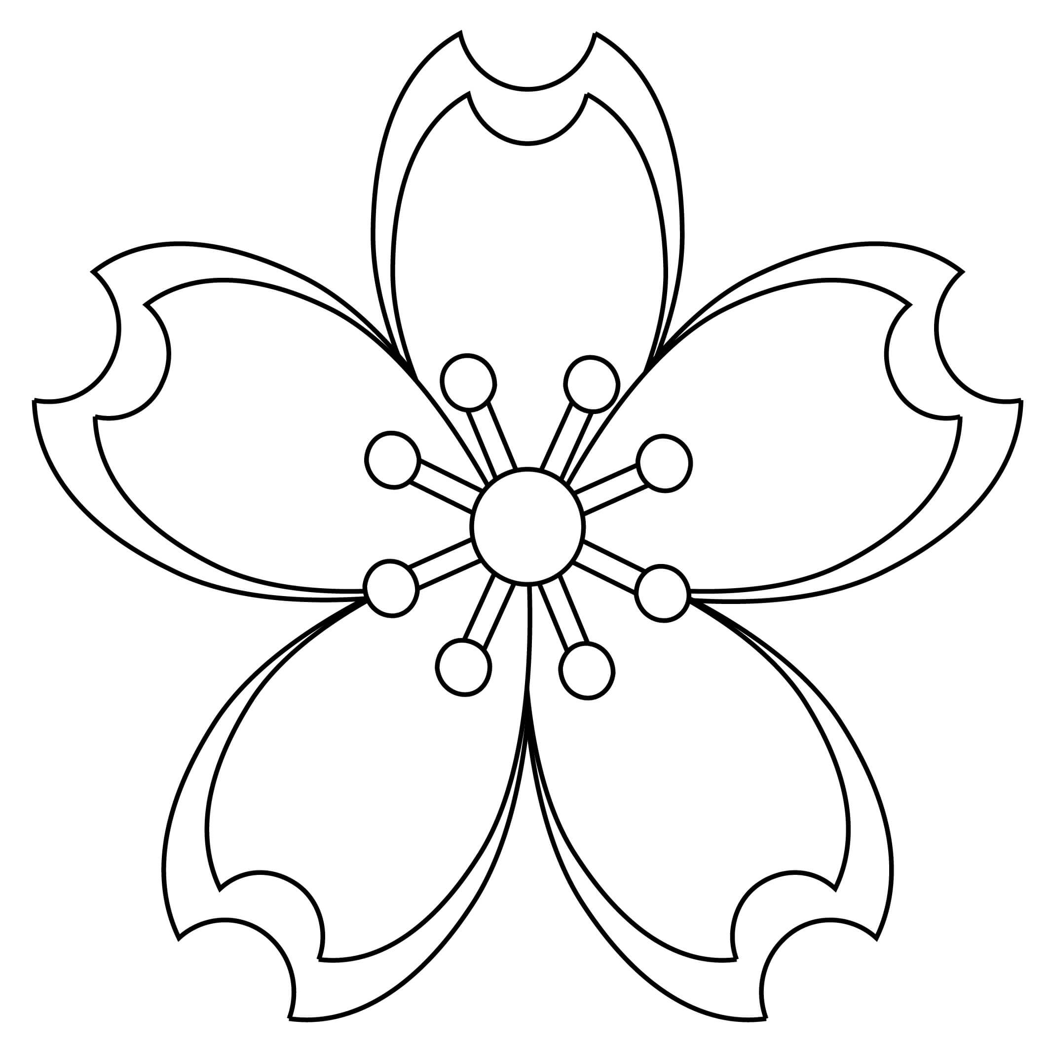 Beautiful Cherry Blossom Flower Coloring Page Download Print Or