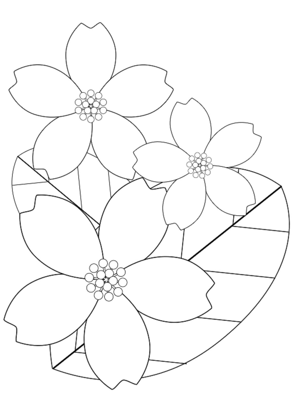 Cherry Blossom with Leaf coloring page