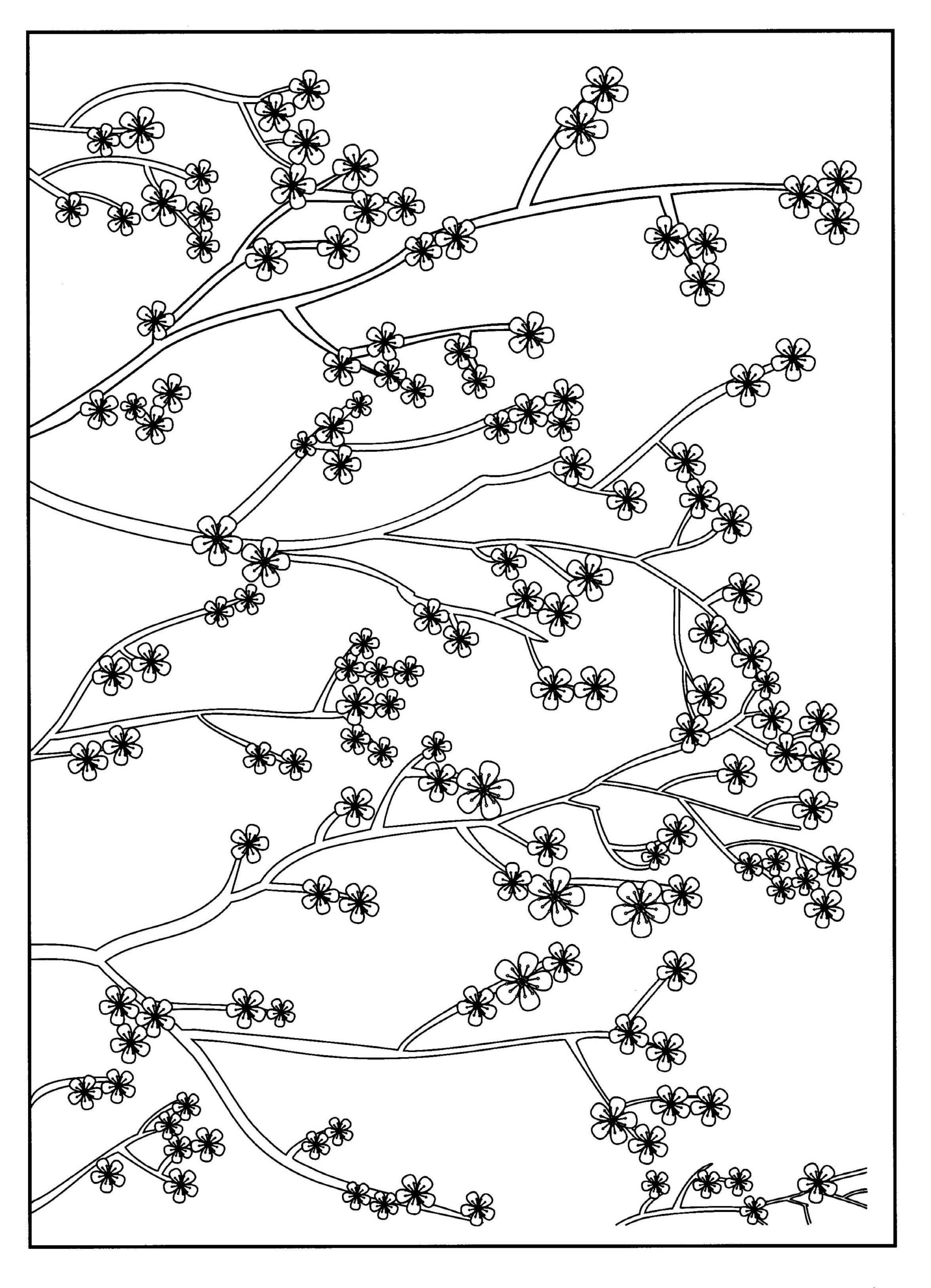 Good Cherry Blossom coloring page