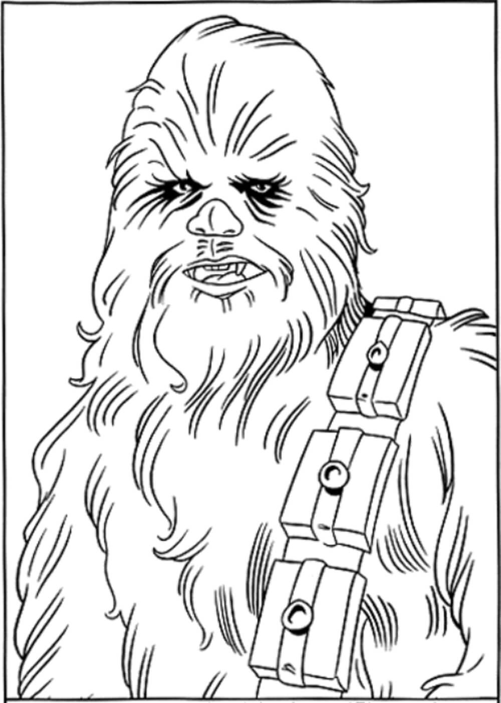 Portrait of Chewbacca