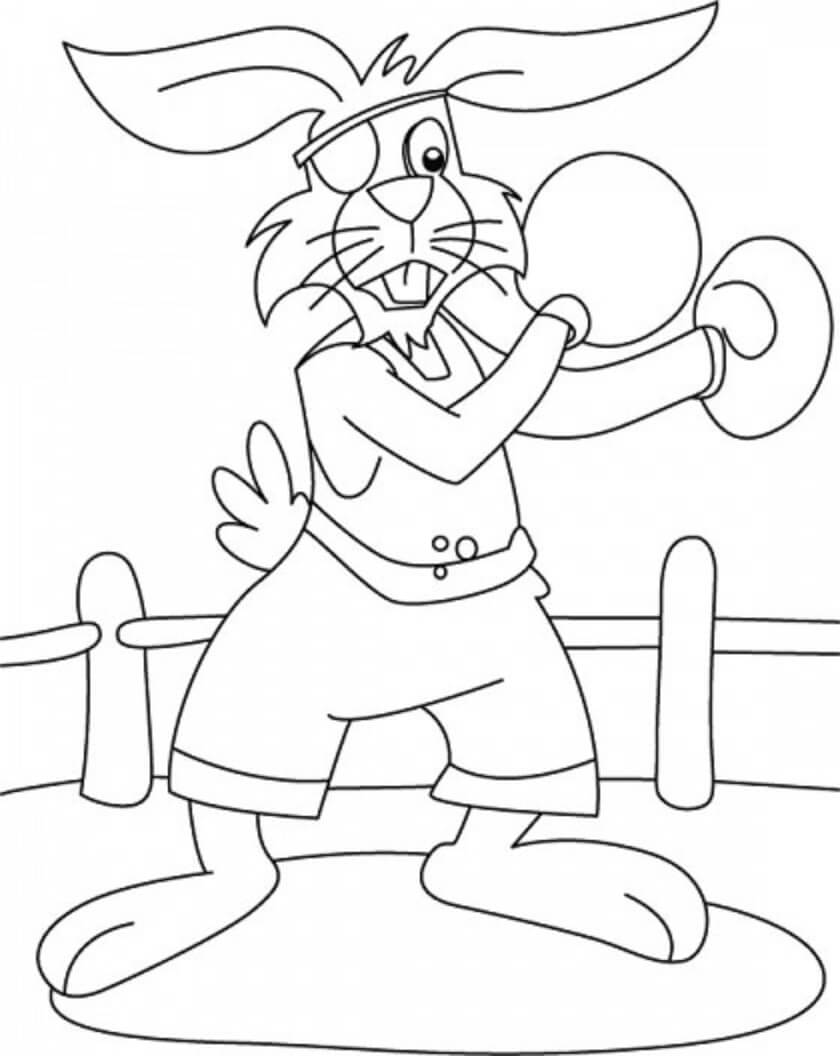 Rabbit Boxer