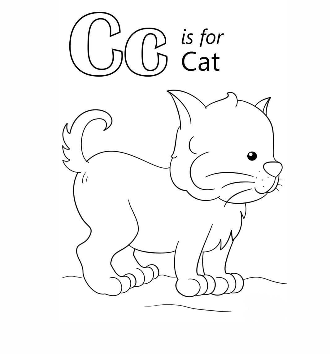 Letter C is for Cat