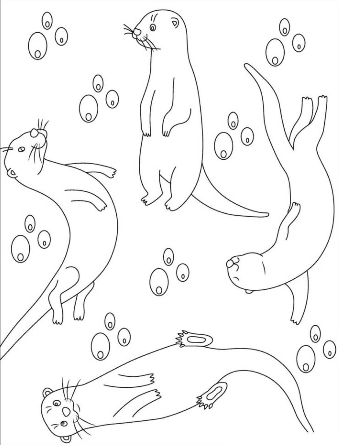 Four Otters coloring page