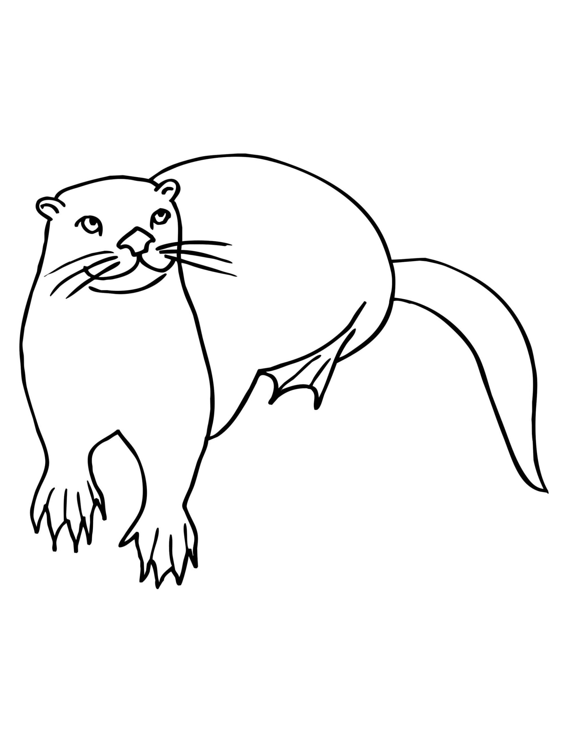 Otter Standing coloring page - Download, Print or Color Online for Free
